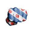 Front view of punching fist