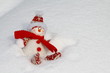 Foto: stoffschneemann stoffschneemann