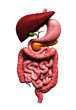 human digestive system