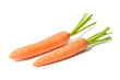 Carrots on White