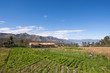Farm (finca) On the Road to Saraguro, Ecuador