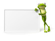 Illustration: 3d rendered illustration of a funny frog 3d rendered illustration of a funny frog