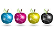CMYK Apple Illustration