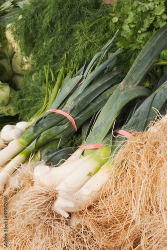 Photo: spring onion spring onion