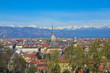 Turin view