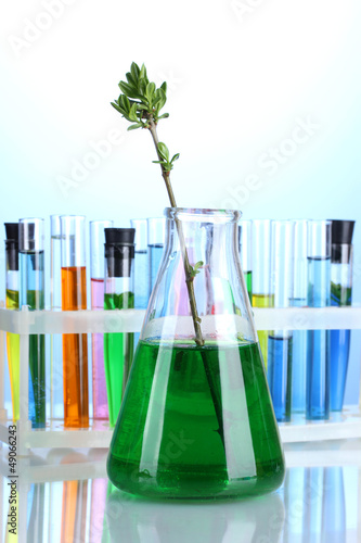 Photo: Different laboratory glassware with color liquid Different laboratory glassware with color liquid
