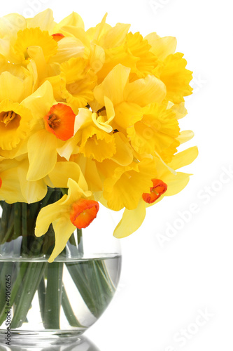 Photo: beautiful yellow daffodils in transparent vase isolated on beautiful yellow daffodils in transparent vase isolated on