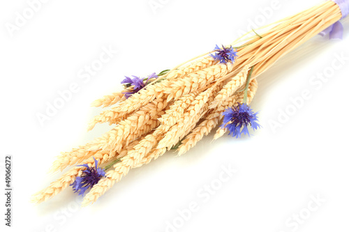 Photo: ears of wheat and cornflower isolated on white ears of wheat and cornflower isolated on white