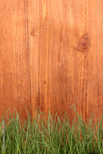 Photo: Green grass on wooden background Green grass on wooden background