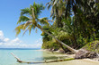Coconut tree over the sea