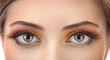 beautiful female eyes with bright autumn make-up