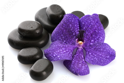 Photo: Spa stones and purple flower, isolated on white Spa stones and purple flower, isolated on white