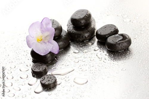Photo: Spa stones and purple flower, on wet background Spa stones and purple flower, on wet background