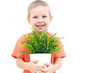 Cute little boy and plant