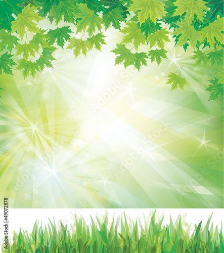 Vector: Vector of spring background with grass and leaves. Vector of spring background with grass and leaves.