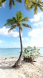 Ile de Saona - RD - 1
