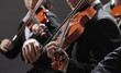 Classical music. Violinists in concert