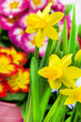 Frühling