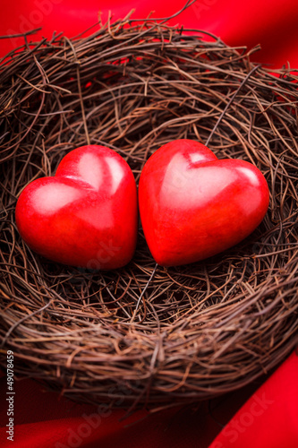 Photo: Nest with hearts Nest with hearts