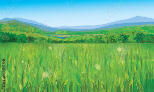 Vector: Vector of summer landscape. Vector of summer landscape.