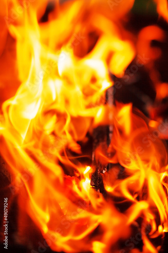 Photo: Fire in fireplace Fire in fireplace