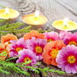 Frühling
