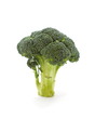 Broccoli on a white