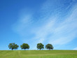 Bäume mit Himmel 31
