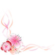 Lilly flower in pink on white background. Vector