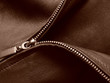 sepia toned zipper fragment