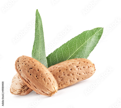 Photo: Almond nuts with leaves. Isolated on white background. Almond nuts with leaves. Isolated on white background.