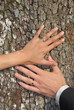 alliances mariage