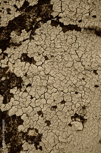 Photo: Sepia Crackle Texture Sepia Crackle Texture