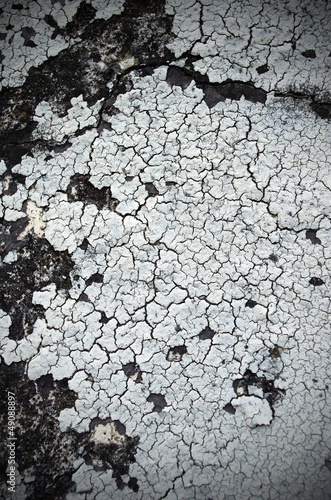 Photo: Crackle Crackle