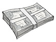 bundle of money