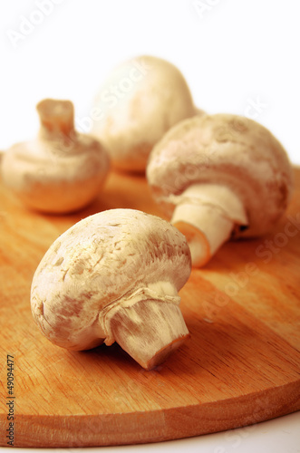 Photo: mushrooms mushrooms