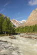 The mountain river flowing down from glaciers