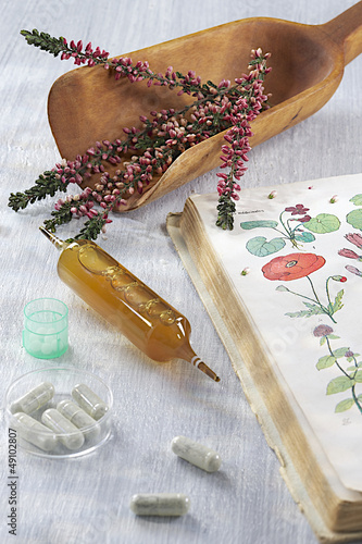 Photo: Plantes médicinale & Médecine douce Plantes médicinale & Médecine douce
