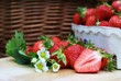 Foto: Bio-Erdbeeren Bio-Erdbeeren