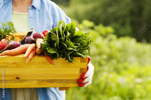 Photo: Senior woman holding box with vegetables Senior woman holding box with vegetables