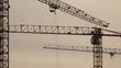 Lifting construction crane. construction site 