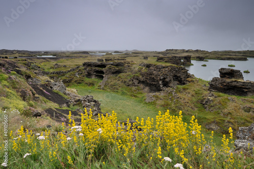 Photo: Landscape view at Myvatn. Landscape view at Myvatn.