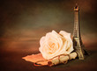 Rose and paper scroll