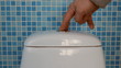 The hand presses the button on the toilet