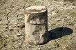 rusty drum