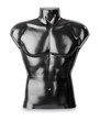 Männliche Büste als Torso