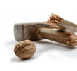 Walnut with Sledge Hammer Close Up