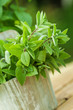 Foto: fresh mint fresh mint