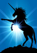 Licorne_Soleil_Rayons