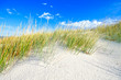 Grass on a white sand dunes beach and blue sky